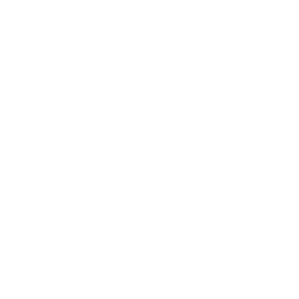 طراحی لوگو حرفه ای