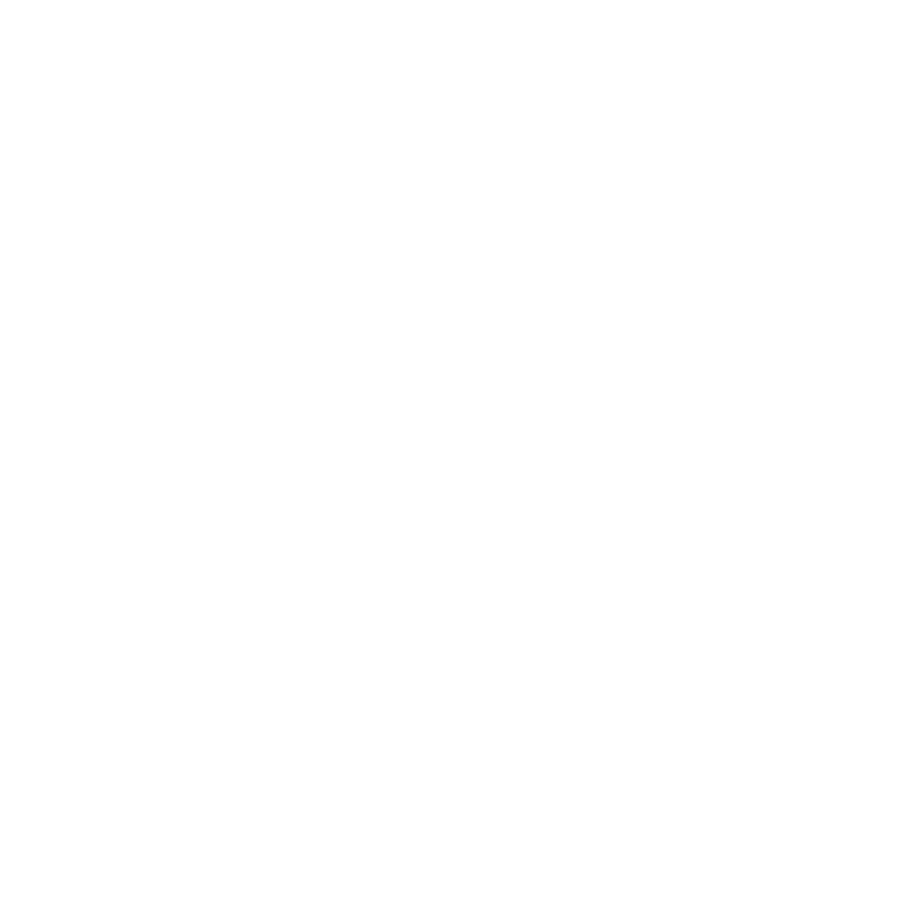 طراحی لوگو حرفه ای